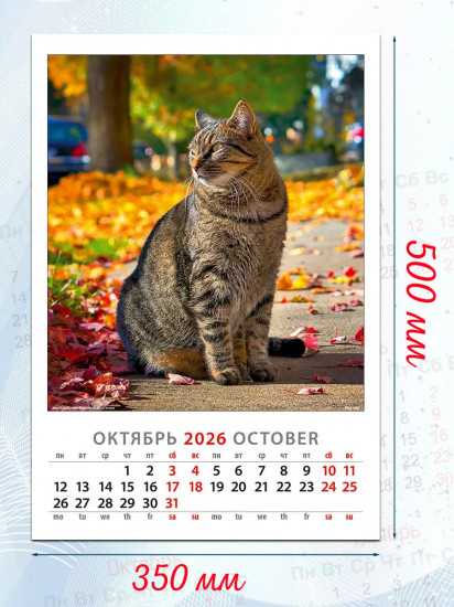 Календарь настенный на 2026 год «Просто кошки»