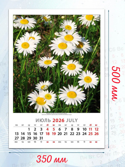 Календарь настенный на 2026 год «Цветы»
