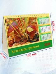 Календарь-домик на 2026 год «Календарь природы» - Фото 2