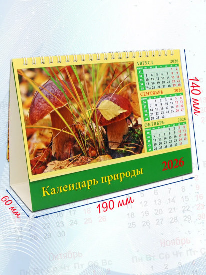 Календарь-домик на 2026 год «Календарь природы»