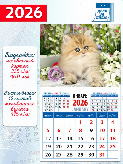 Календарь на магните на 2026 год «Очаровательный котенок»