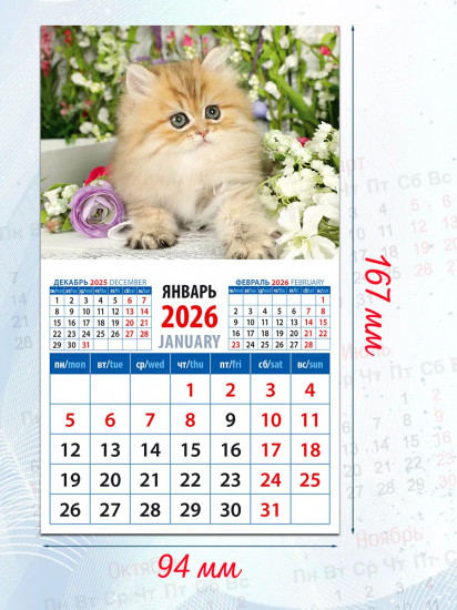 Календарь на магните на 2026 год «Очаровательный котенок»