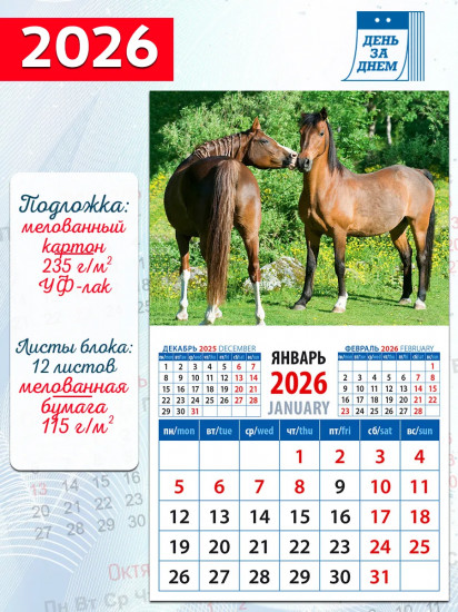 Год лошади. Сладкая парочка