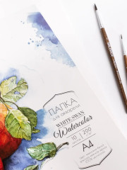 Папка для акварели «White Swan» - Фото 7