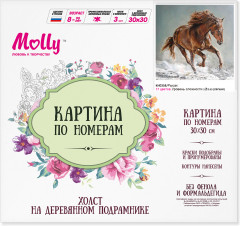 Картина по номерам «Рысак» - Фото 2