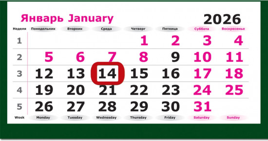 Календарь квартальный на 2026 год «Символ Года. Лошадь на свободе»