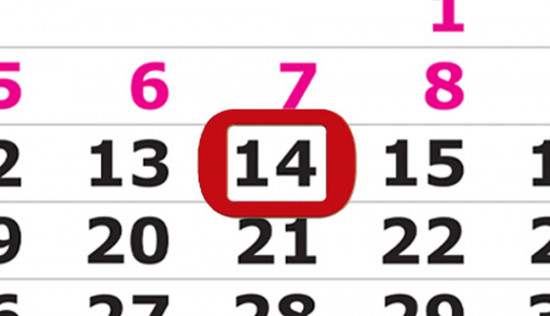 Календарь квартальный на 2026 год «Символ Года. Лошадь на свободе»