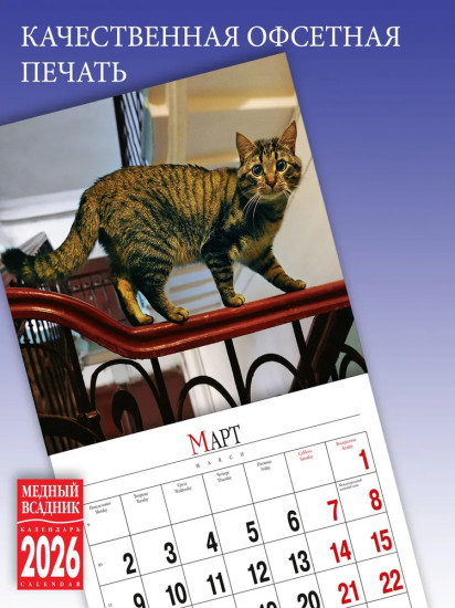 Календарь настенный на 2026 год «Кошки Санкт-Петербурга»