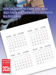 Календарь настенный на 2026 год «Кошки Санкт-Петербурга» - Фото 4