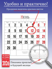 Календарь настенный на 2026 год «Кошки Санкт-Петербурга» - Фото 5