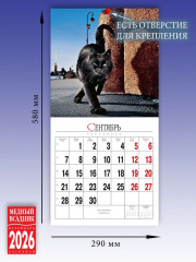Календарь настенный на 2026 год «Кошки Санкт-Петербурга» - Фото 6