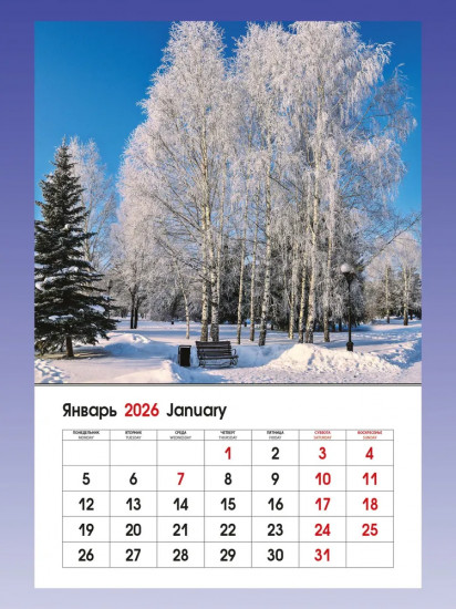Календарь настенный на 2026 год «Пейзажи России»