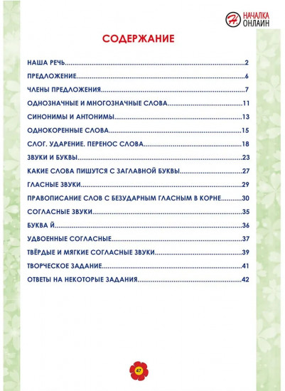 Русский язык 2 класс. Рабочий тренажёр