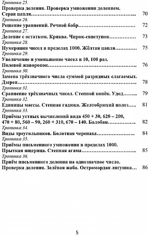 Увлекательное путешествие с математикой. 3 класс. Программа внеурочной деятельности