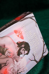 Когда мотылёк полюбил пчелу - Фото 8