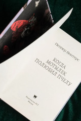 Когда мотылёк полюбил пчелу - Фото 10