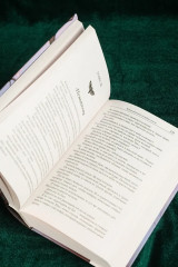 Когда мотылёк полюбил пчелу - Фото 11