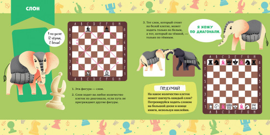 Стань чемпионом по шахматам. Игра в шахматы