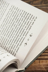 Белый сокол. Наследие Оманоске - Фото 9