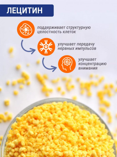 Капсулы для мозга «Лецитин и коэнзим Q10»