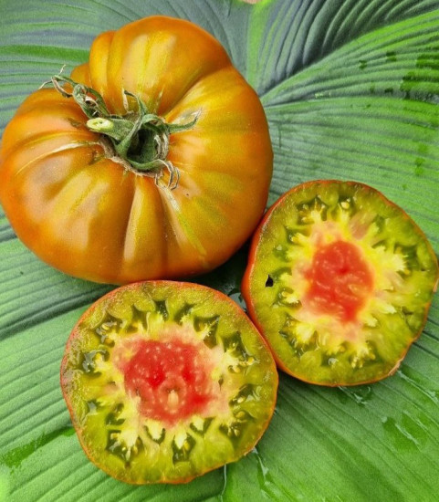 Колекционные семена томата «Кленовый сироп»