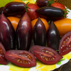 Колекционные семена томата «Сливка гурман» - Фото 1