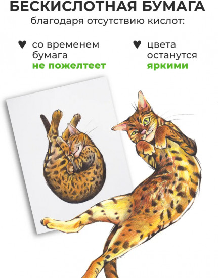 Скетчбук для рисования и графики