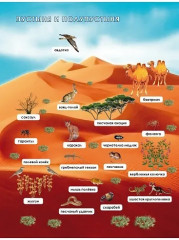 Увлекательное путешествие с математикой. 4 класс. Тренажёр для школьников - Фото 5