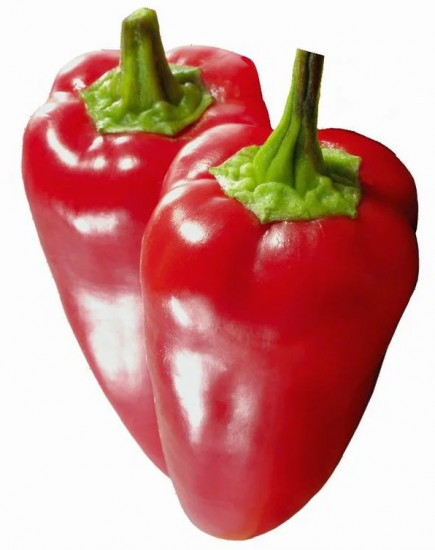 Семена перца «Красный нос»