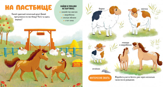 Домашние животные