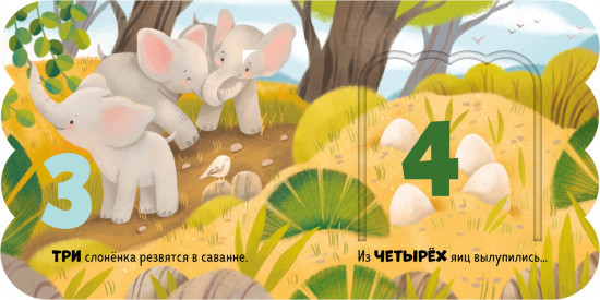 Первый счёт