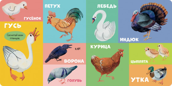 100 животных