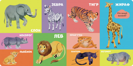 100 животных