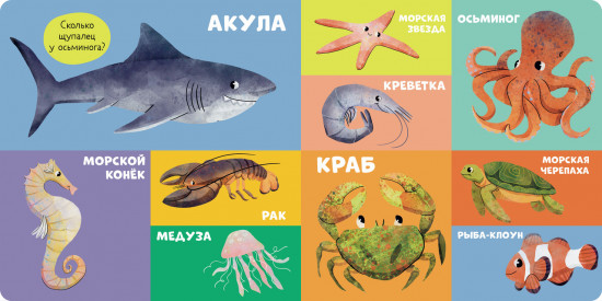 100 животных