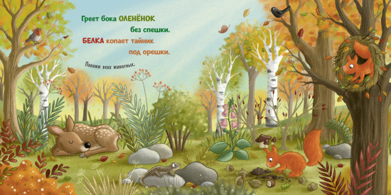 Осень в лесу