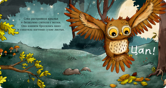 Совушка в лесу. Первая книга малыша о природе