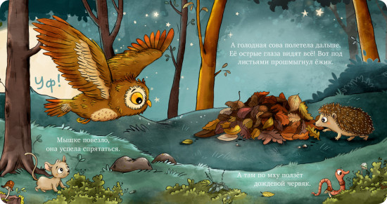 Совушка в лесу. Первая книга малыша о природе