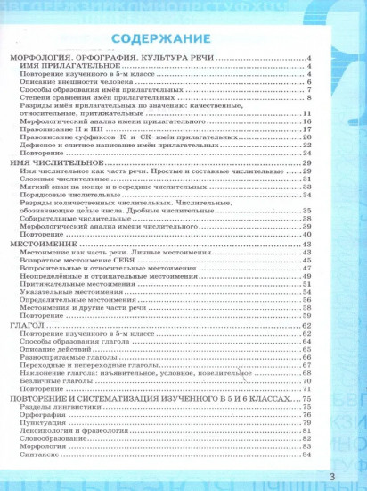 Русский язык. 6 класс. Рабочая тетрадь. Часть 2