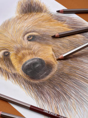 Папка с бумагой для графики и маркеров - Фото 12