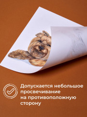 Папка с бумагой для графики и маркеров - Фото 4