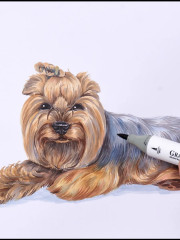 Папка с бумагой для графики и маркеров - Фото 12