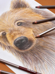 Папка с бумагой для графики и маркеров - Фото 13