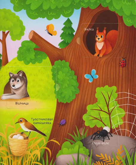 Мамы и малыши. Книга с окошками