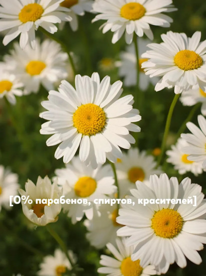 Крем для рук омолаживающий «Олива и ромашка»