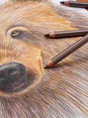 Папка с бумагой для графики и маркеров - Фото 13