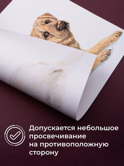 Папка с бумагой для графики и маркеров