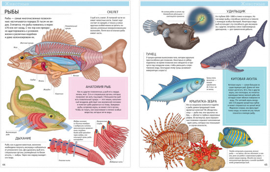 Большая детская энциклопедия