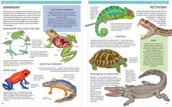 Большая детская энциклопедия