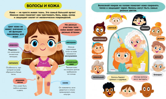 Тело человека