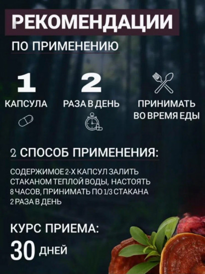 Капсулы «Ganoderma Spore»